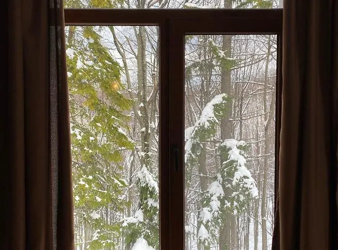 Хижа Планинец - Тревненски Балкан Otel *